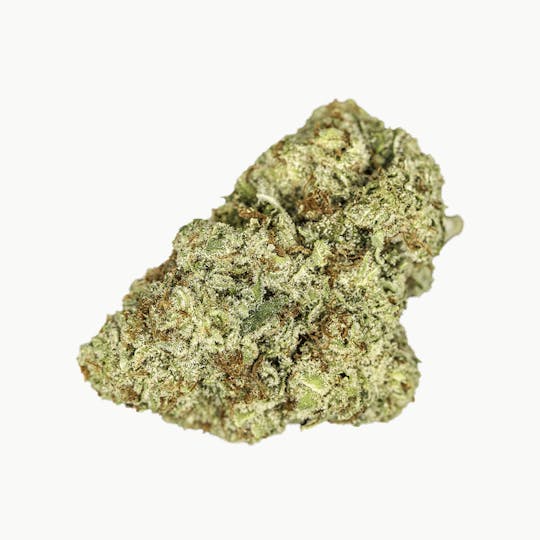 SoulTonix - Killer Queen - 1