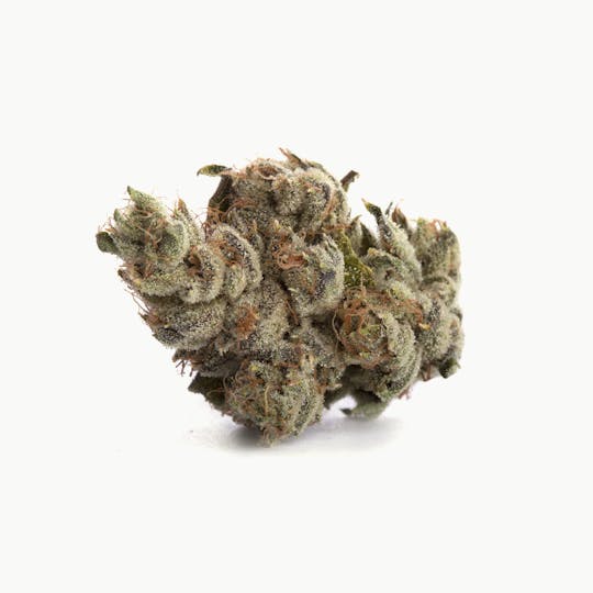 Shango - SLV OG - 1