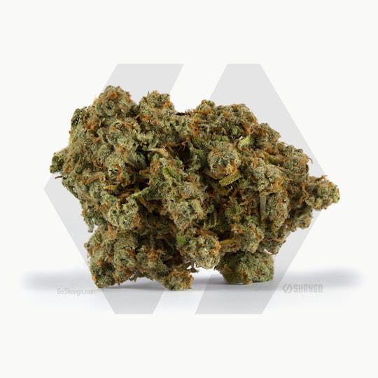 Shango - Chong's Choice: XJ-13 - 1