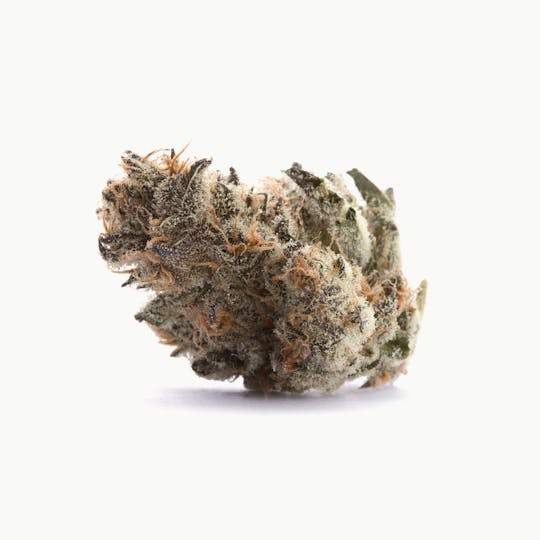 Shango - Orange Cookies - 1