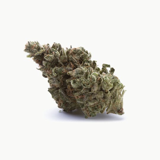 Shango - The Sauce - 1