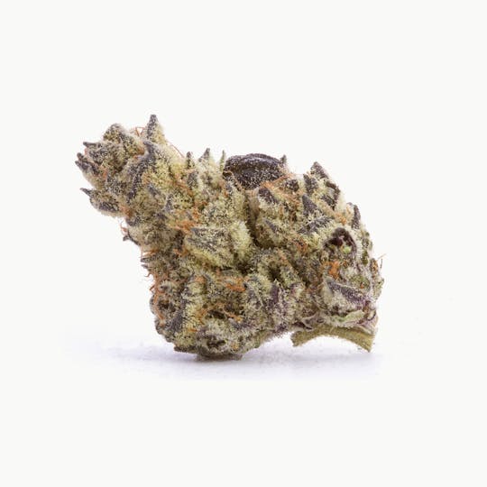 Shango - Chong's Choice: Do-Lato - 1