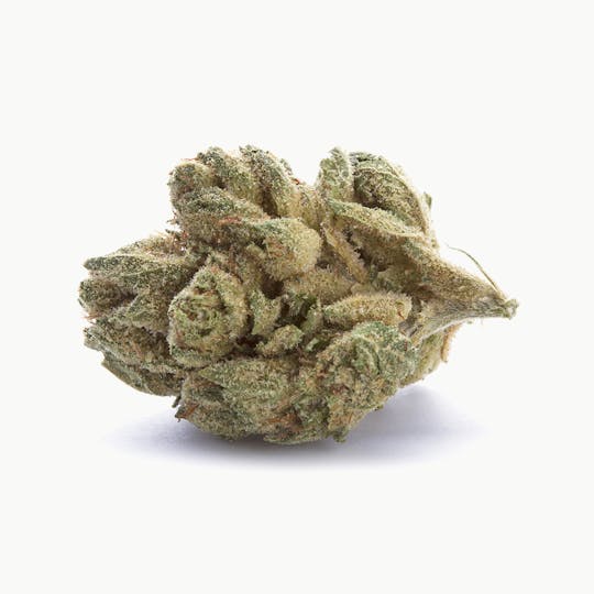 Shango - Quantum Kush - 1