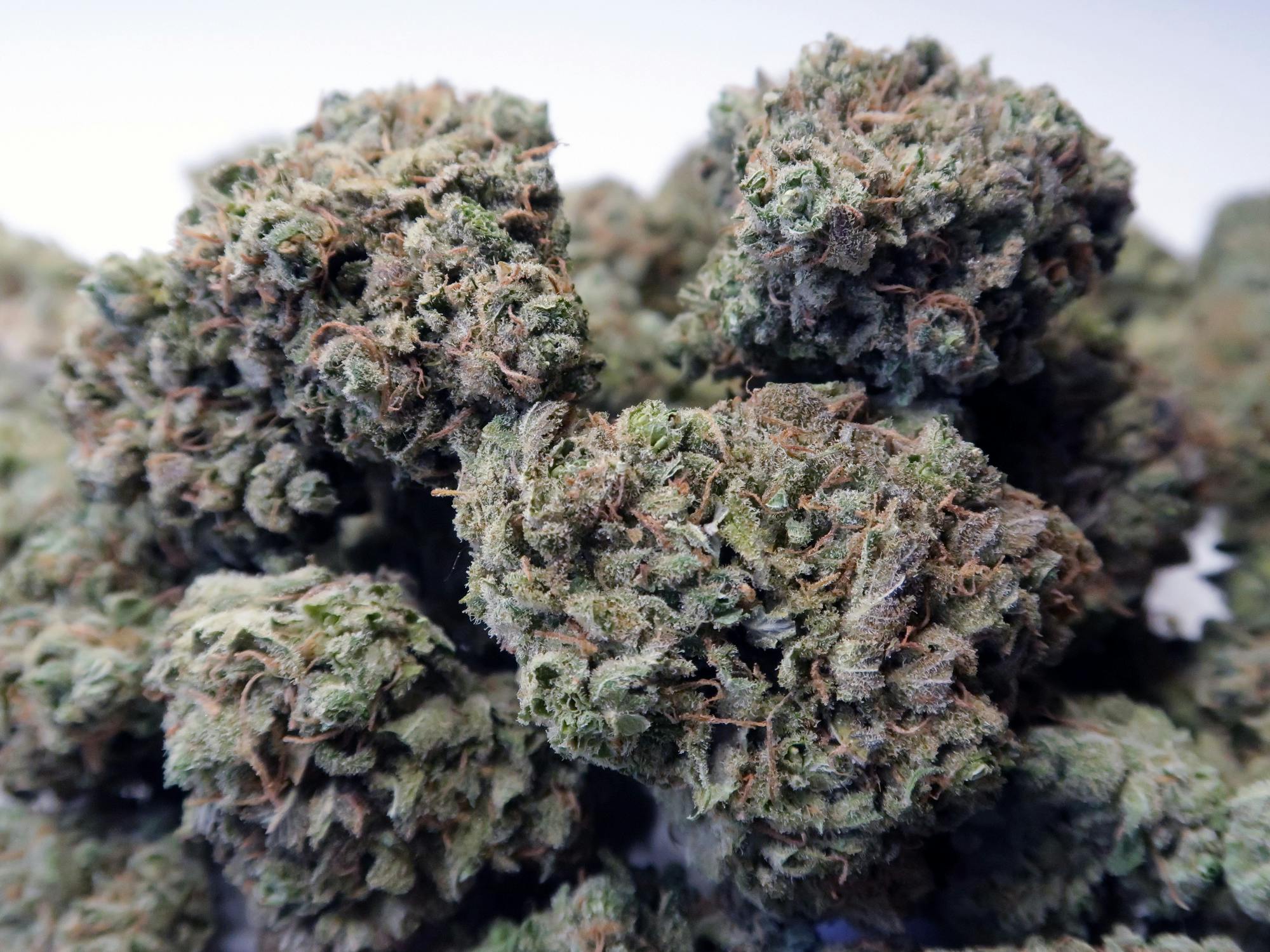 High Tide Organics - Fruit Loops - 1