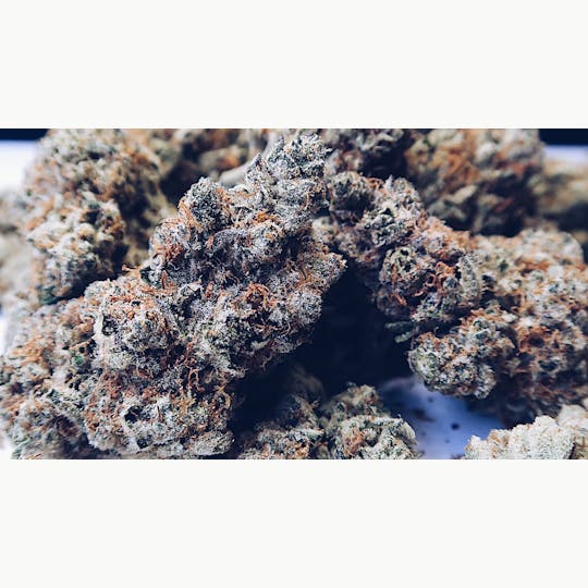 High Tide Organics - Cherry Pie Kush - 1