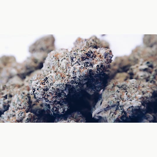 High Tide Organics - Truffle Butter - 1