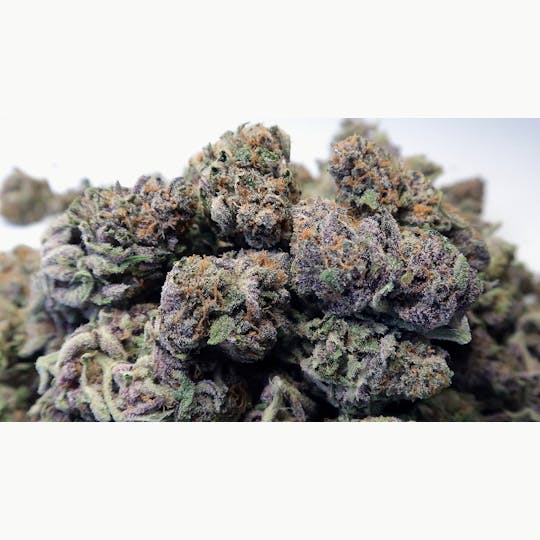 High Tide Organics - Purple Urkle - 1