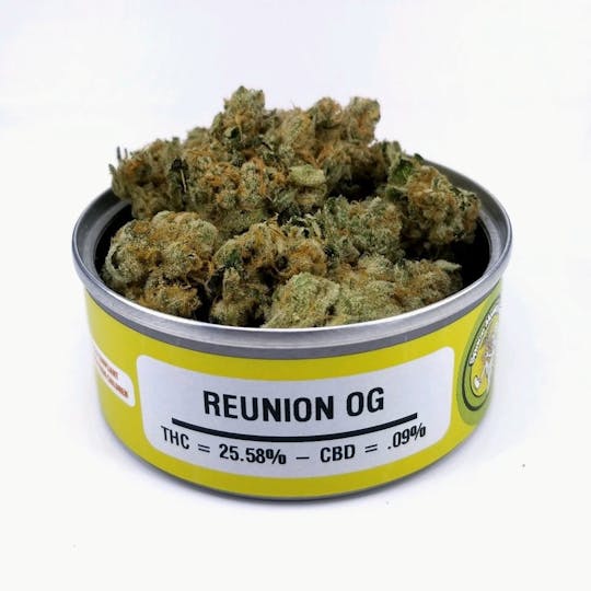 Space Monkey Meds - Reunion OG - 1