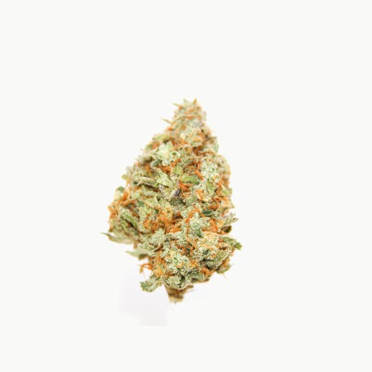 Maine Cannabis Exchange - Alaskan Thunder Fuck - 1