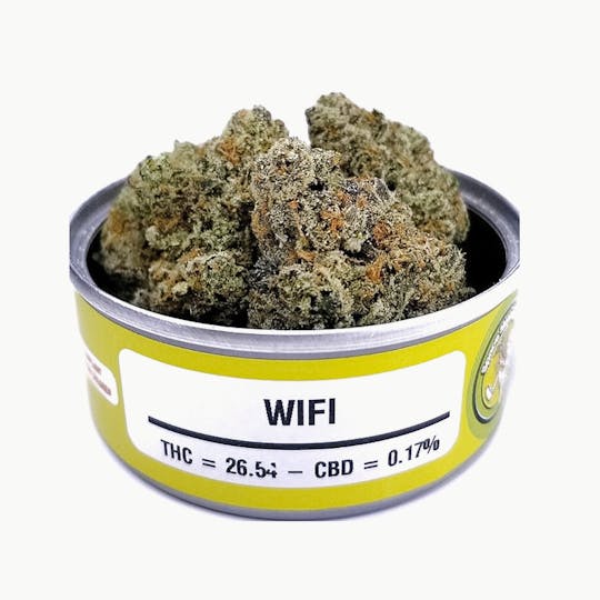Space Monkey Meds - Wifi OG - 1