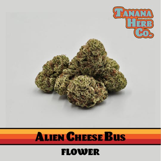 Tanana Herb Co. - Alien Cheese Bus - Deli Flower - 1