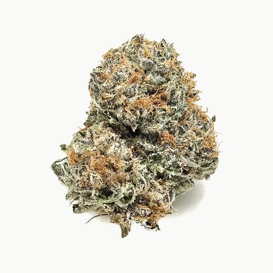 Tanana Herb Co. - God's Gift - Deli Flower - 1