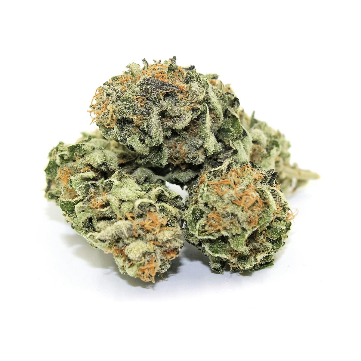 Pine Street Cannabis Company - Pine Street | Ayahuasca Purple | Flower - 1