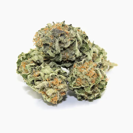 Pine Street Cannabis Company - Pine Street | Ayahuasca Purple | Flower - 1