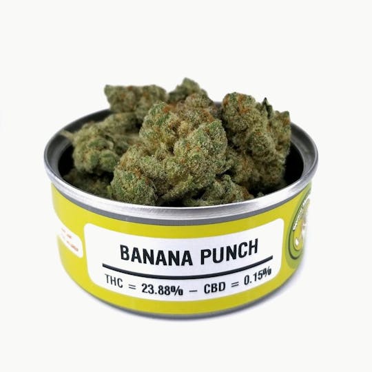 Space Monkey Meds - Banana Punch - 1