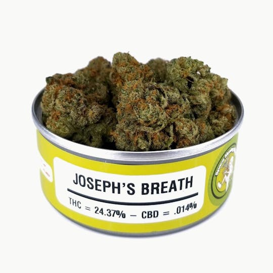 Space Monkey Meds - Joseph’s Breath - 1