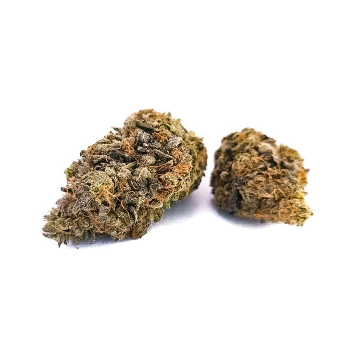 Harvest - Harvest | Lavender Jones | Big Buds | 14g - 1