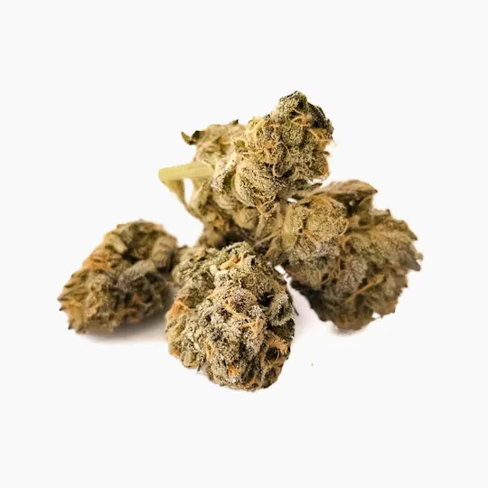 Harvest - Harvest | Cherry Cream Pie | Big Buds | 14g - 1