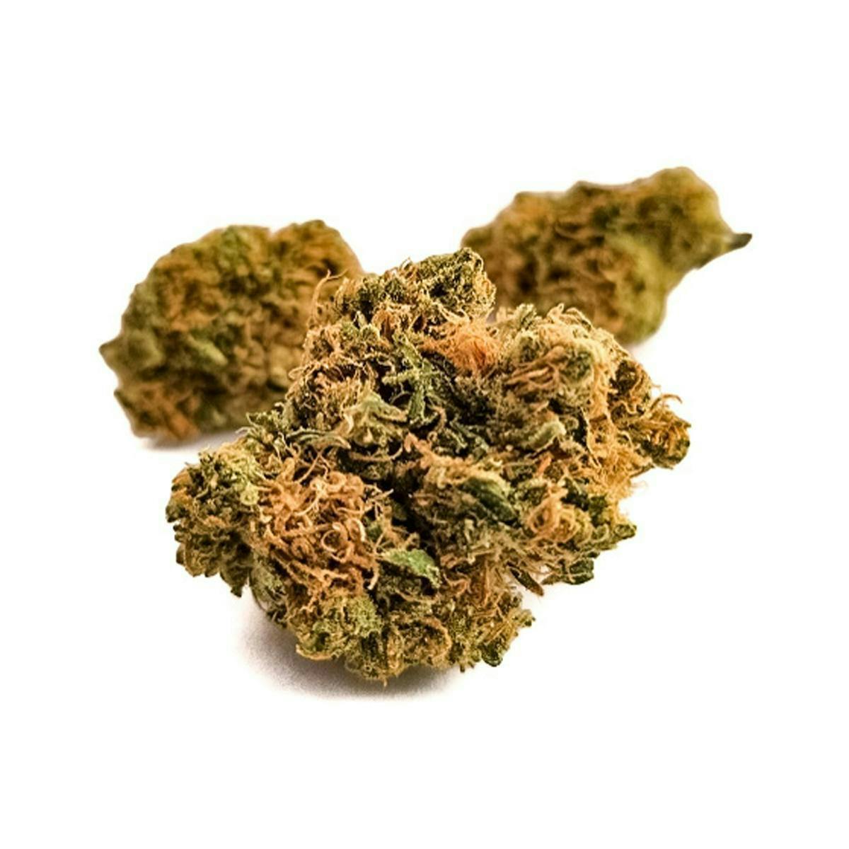 Harvest - Harvest | Durban Poison | Big Buds | 14g - 1