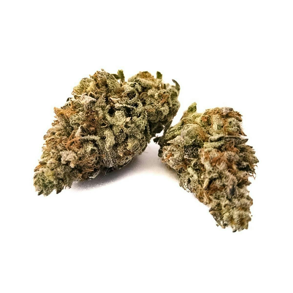 Harvest - Harvest | Pink Unicorn | Big Buds | 14g - 1