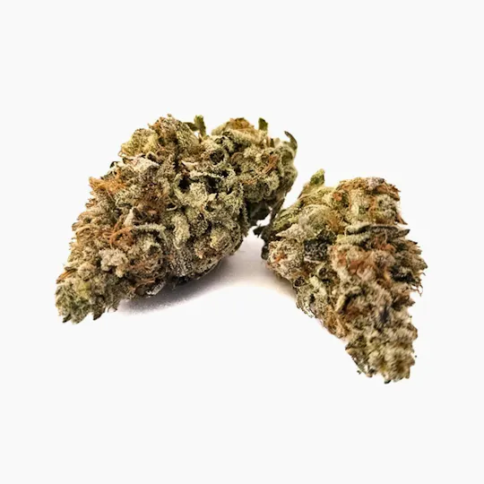 Harvest - Harvest | Pink Unicorn | Big Buds | 14g - 1
