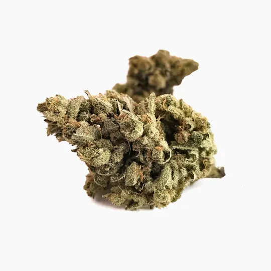 Harvest - Harvest | Quantum Kush | Big Buds | 14g - 1