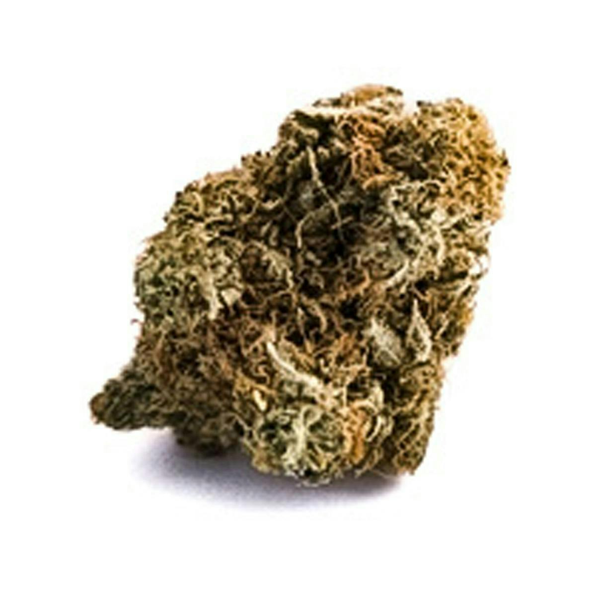 Harvest - Harvest | Banana Crush | Big Buds | 14g - 1