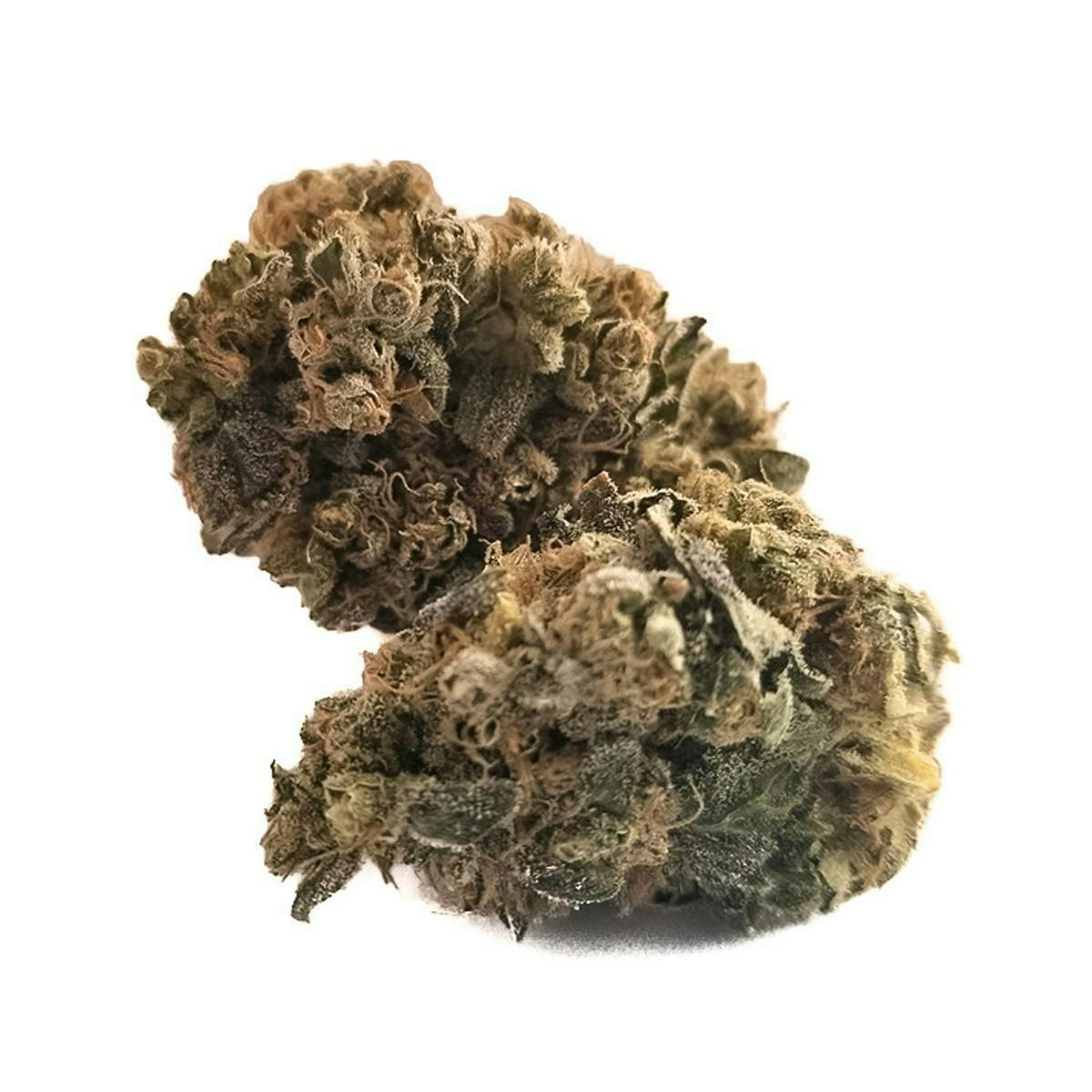 Harvest - Harvest | Chemdawg | Big Buds | 14g - 1