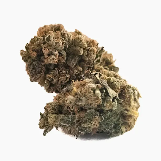 Harvest - Harvest | Chemdawg | Big Buds | 14g - 1