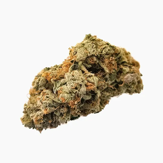 Harvest - Harvest | Gorilla Glue Gelato | Big Buds | 14g - 1