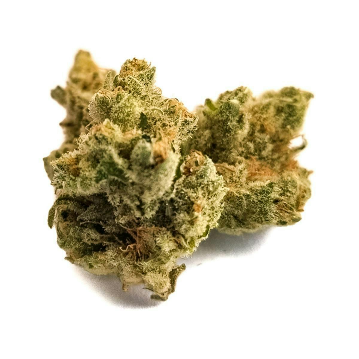 Harvest - Harvest | Honey Bananas | Big Buds | 14g - 1