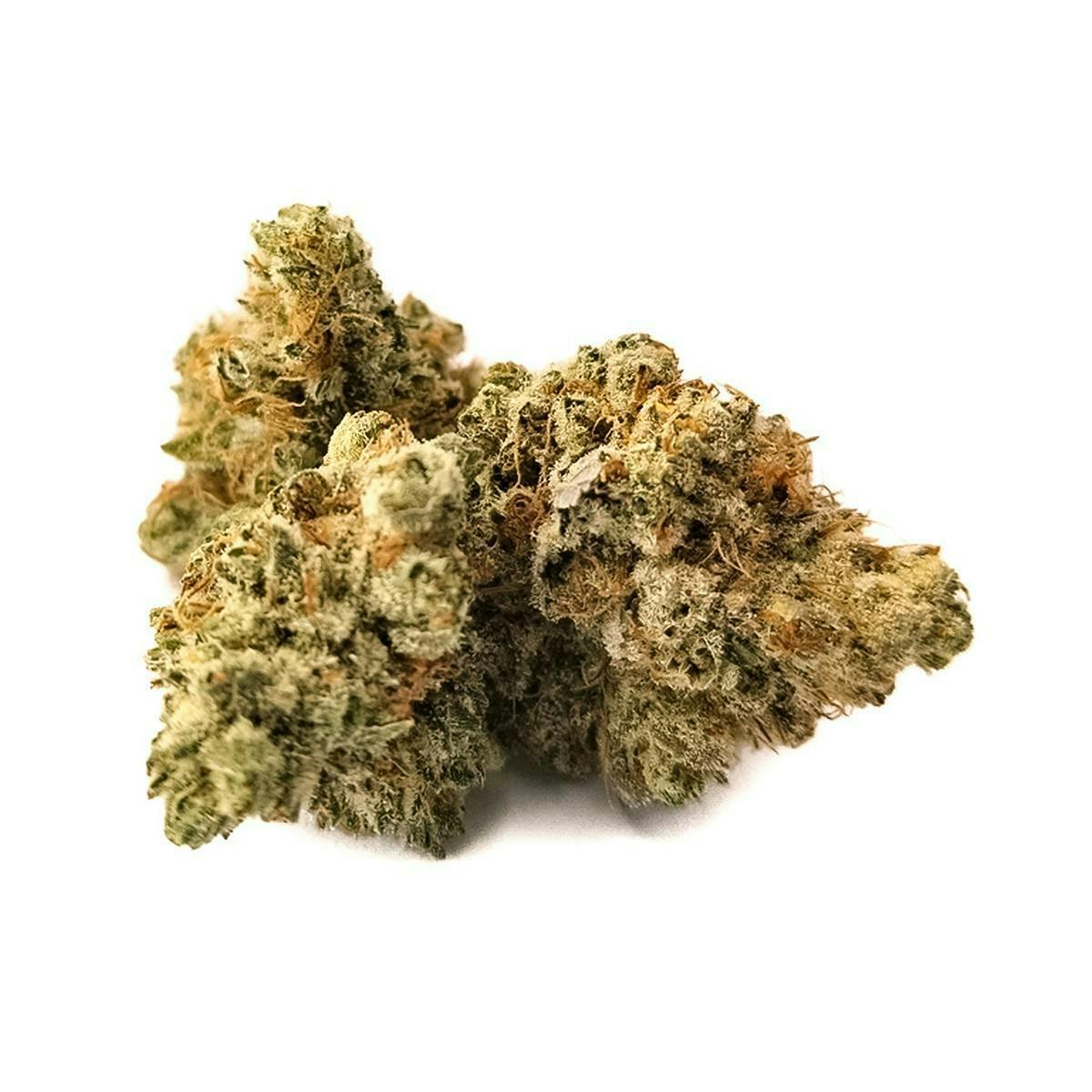 Harvest - Harvest | Mr. Clean | Big Buds | 14g - 1