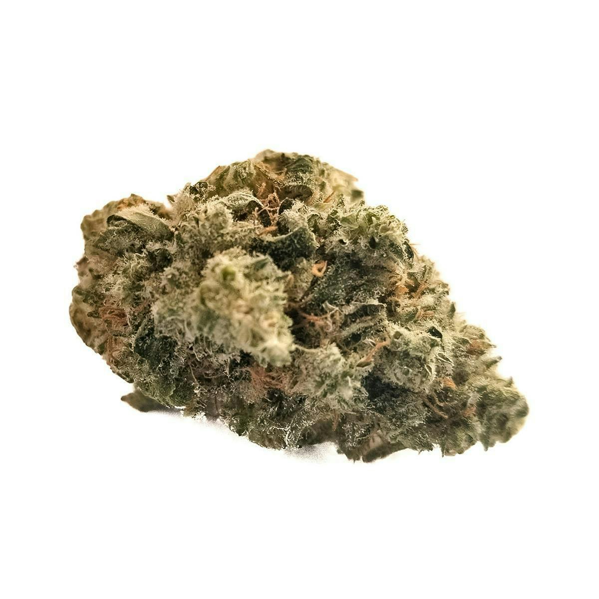 Harvest - Harvest | Dela Haze | Big Buds | 14g - 1