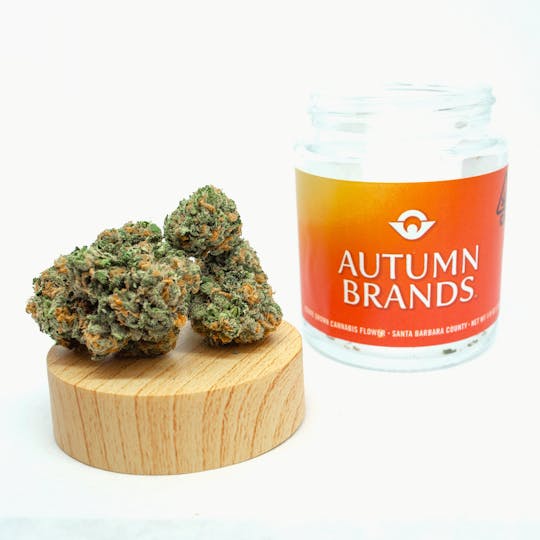 Autumn Brands - Dream Walker - 1