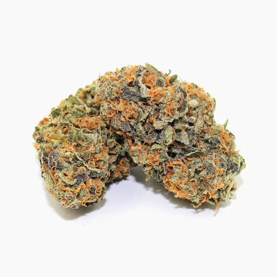 Pine Street Cannabis Company - Pine Street | King Tut | Flower - 1
