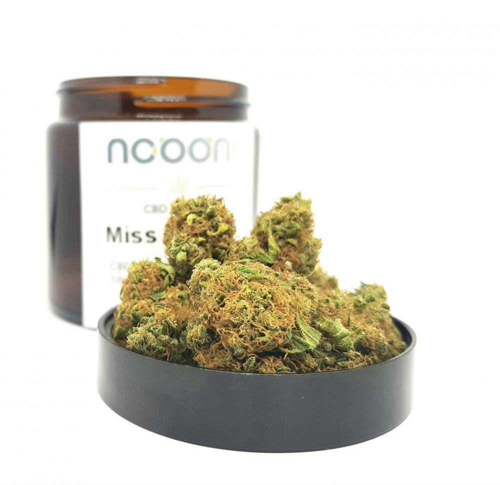 NOOON CBD - CBD Miss Orange - 1