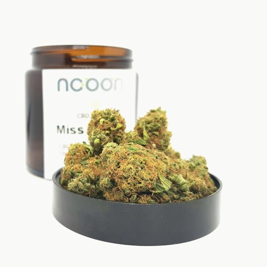 NOOON CBD - CBD Miss Orange - 1