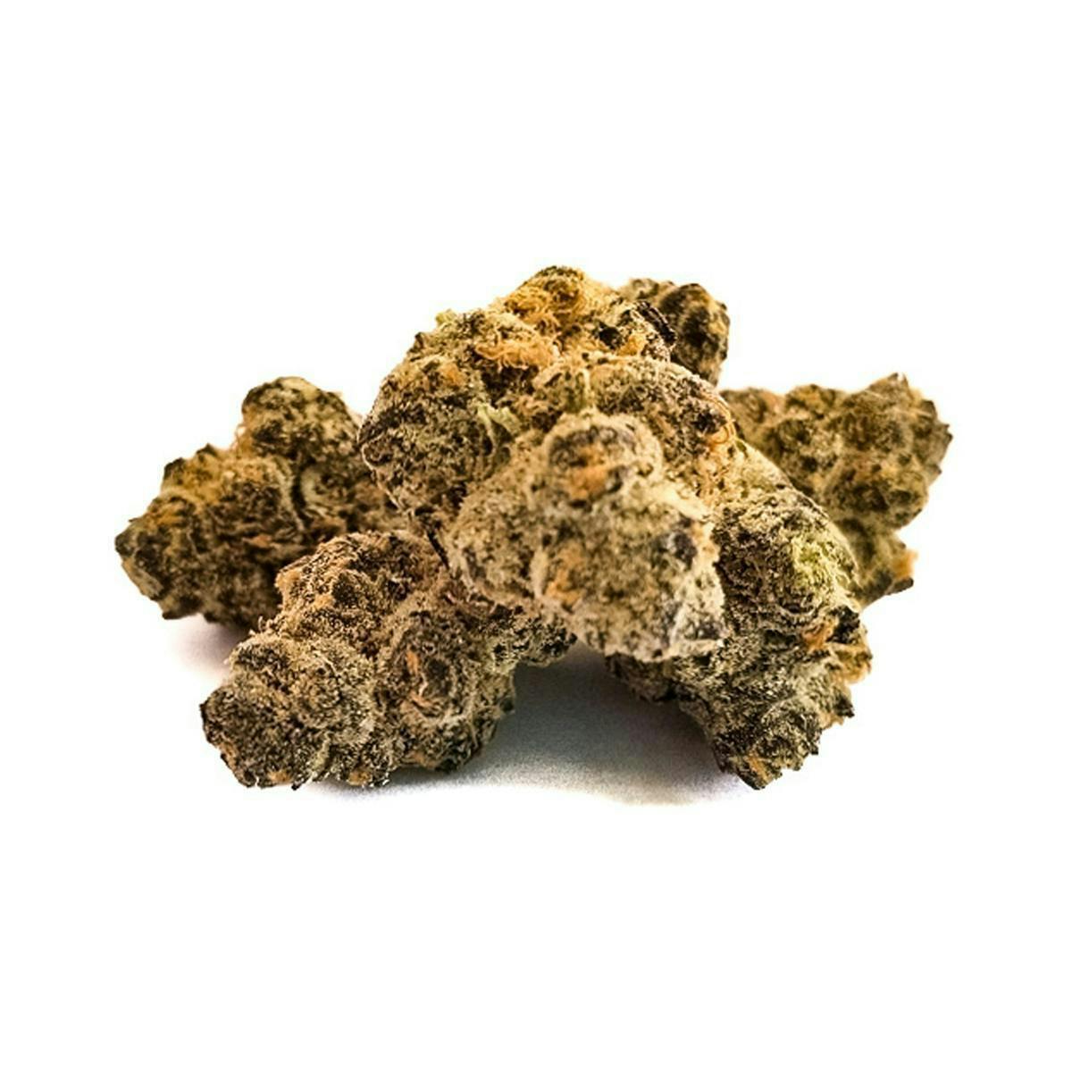 Harvest - Harvest | Platinum Girl Scout Cookies | Big Buds | 14g - 1