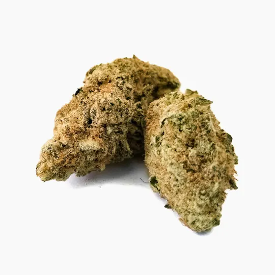 Harvest - Harvest | Girl Scout Cookies #1 | Big Buds | 14g - 1