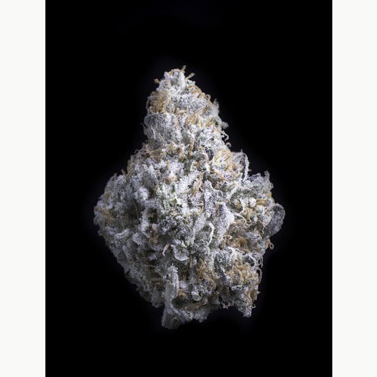 Falcanna - Diesel Thai - 1