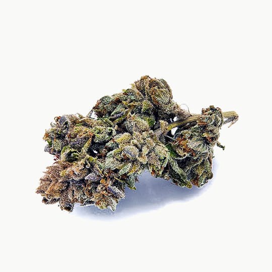 Tryke - Alpha OG - 1