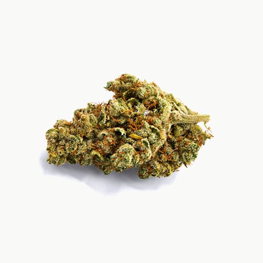 Tryke - Poison Cherry - 1