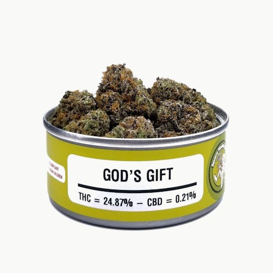 Space Monkey Meds - God’s Gift - 1