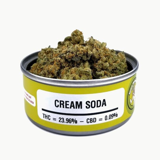 Space Monkey Meds - Cream Soda - 1