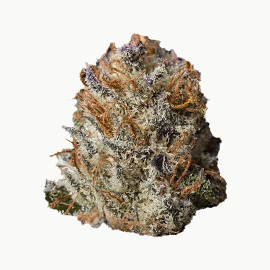 Natty Rems - Blackberry Kush - 1