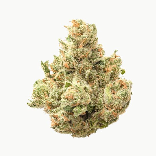 Natty Rems - Clementine - 1