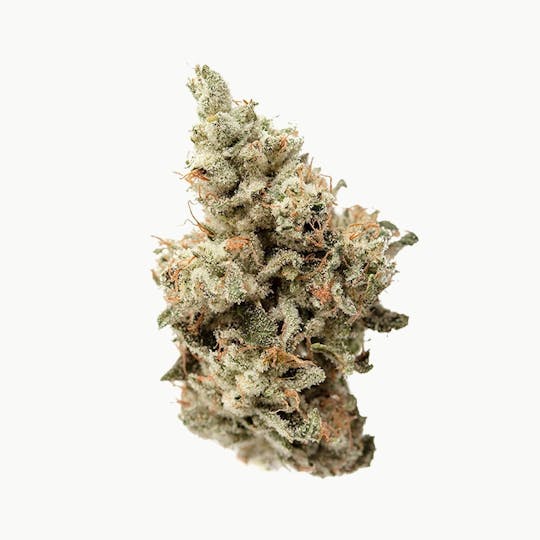 Natty Rems - Glue - 1