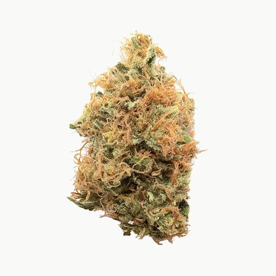 Natty Rems - Golden Goat - 1