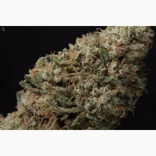 Natty Rems - LA Kush - 1