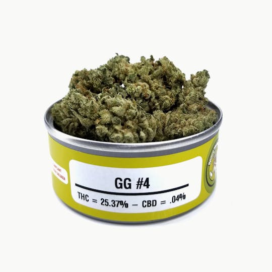 Space Monkey Meds - GG #4 - 1